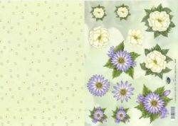 Blten mit Hintergrund TL 2249